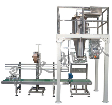凈重法自動稱重顆粒包裝機
